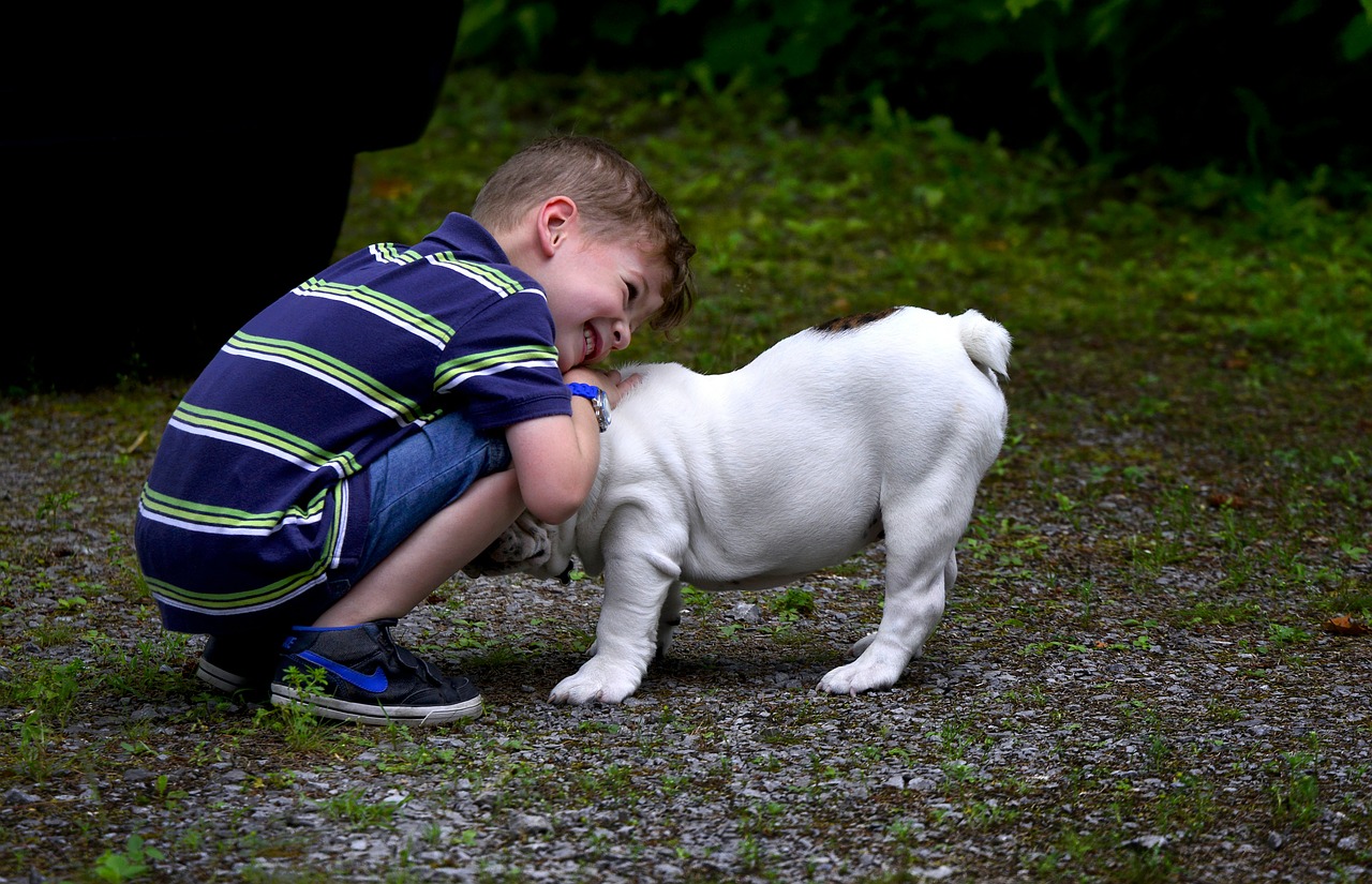 pet n kid